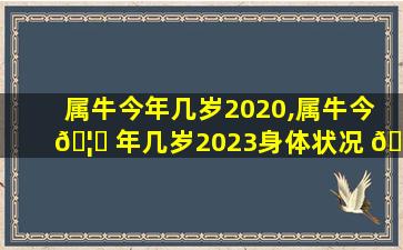 属牛今年几岁2020,属牛今 🦄 年几岁2023身体状况 🌸